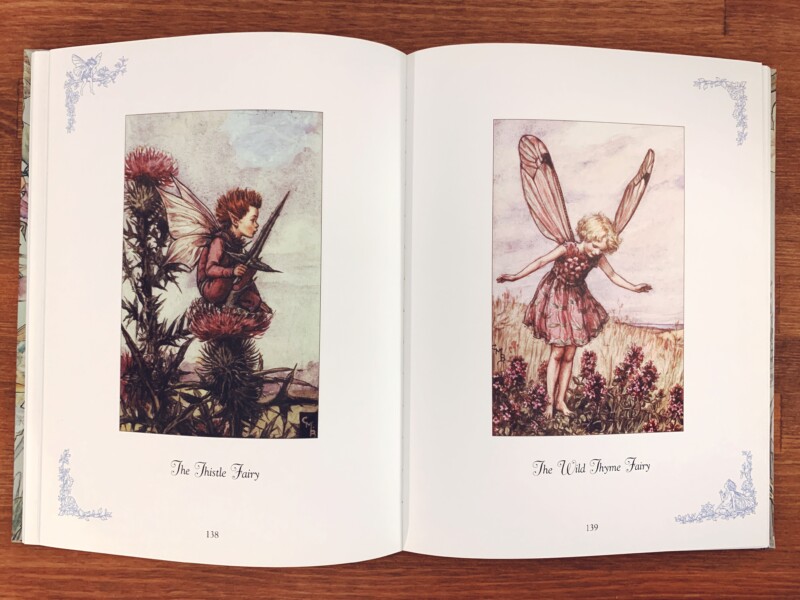 シシリー・メアリーバーカーの絵本 Cicely Mary Barker: A DELUXE BOOK 